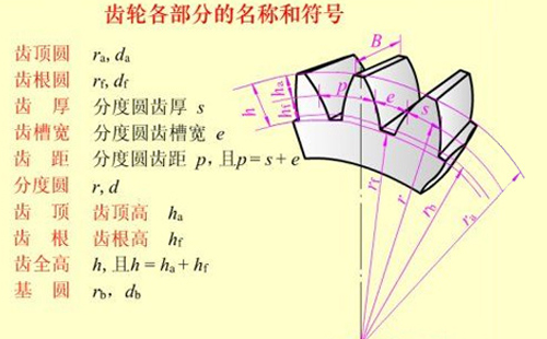 齒輪各部分結(jié)構(gòu)