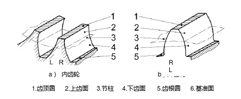 齒面